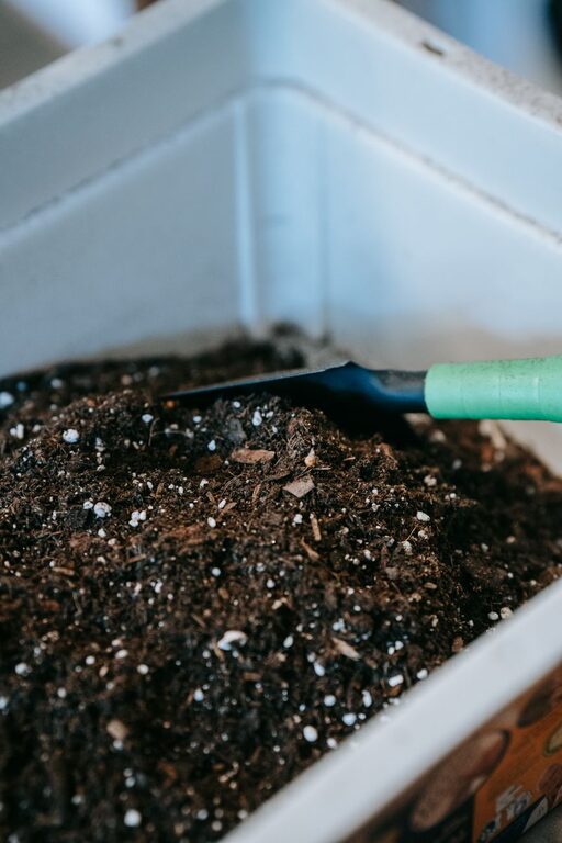 Sfaturi esențiale pentru compostarea la domiciliu pentru începători